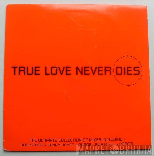  Flip & Fill  - True Love Never Dies