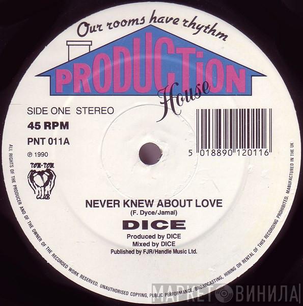 Floyd Dyce - Never Knew About Love