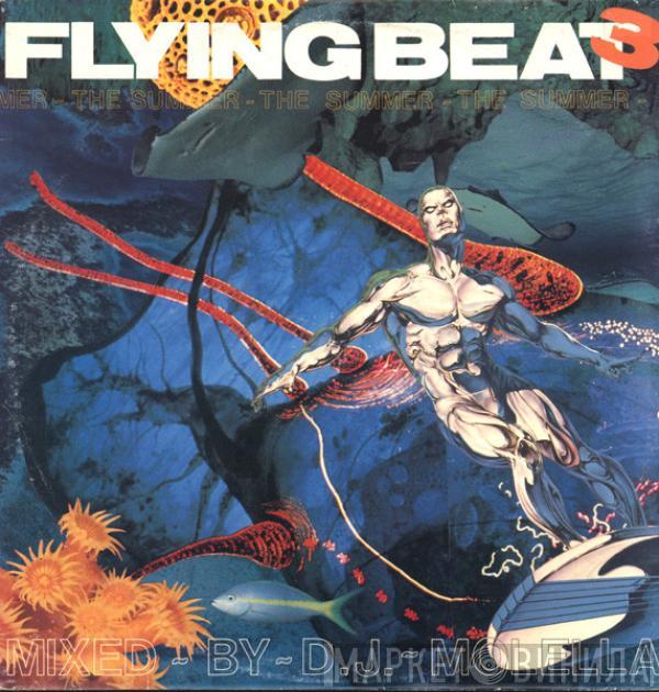  - Flying Beat 3