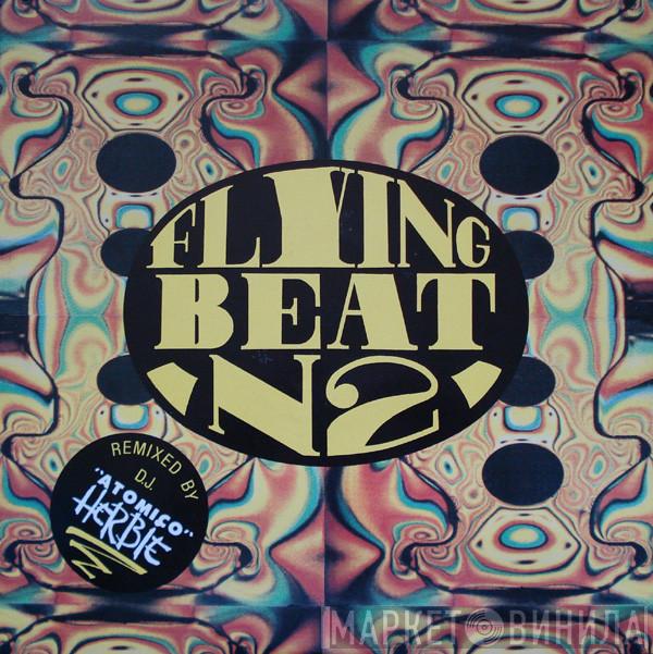  - Flying Beat N2