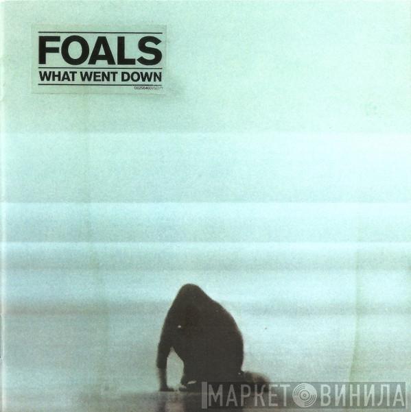  Foals  - What Went Down