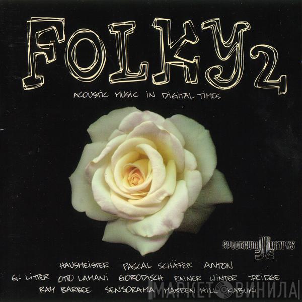  - Folky 2 - Acoustic Music In Digital Times