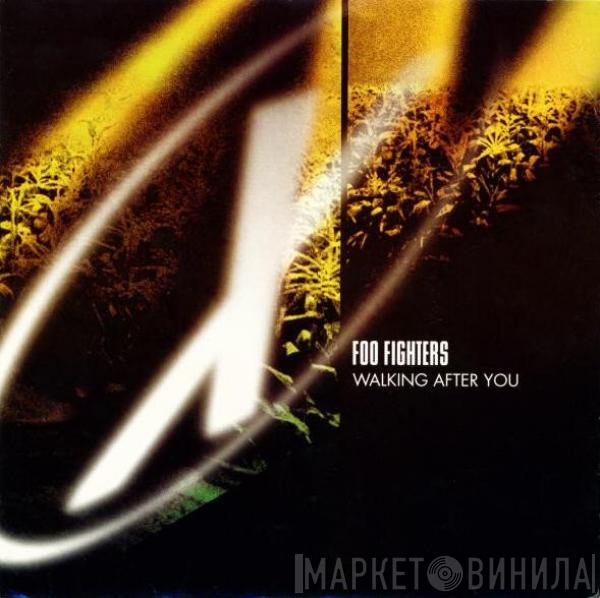 Foo Fighters - Walking After You