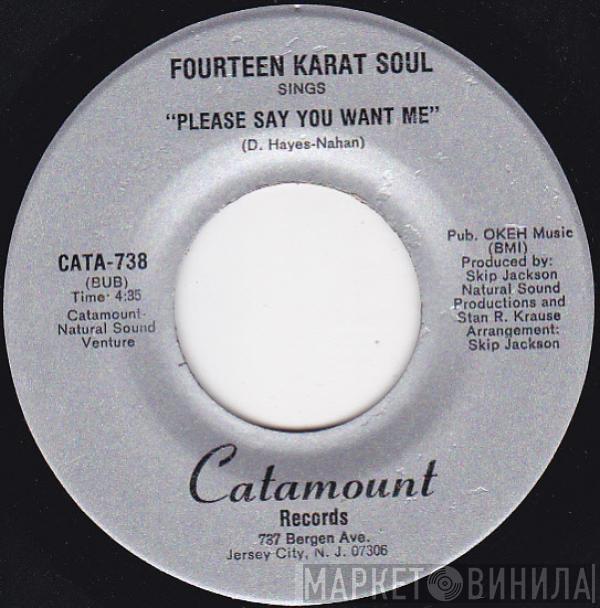 Fourteen Karat Soul - Please Say You Want Me / The Trouble With Love