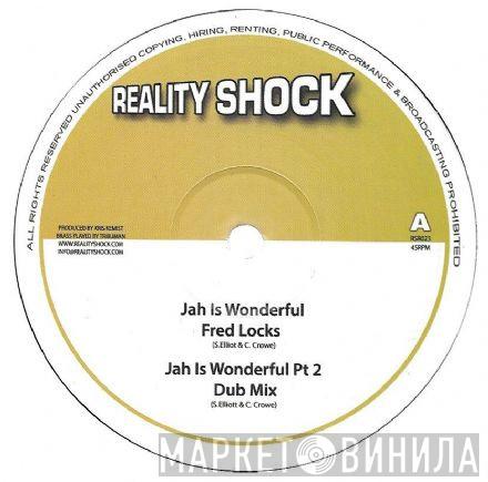 Fred Locks - Jah Is Wonderful