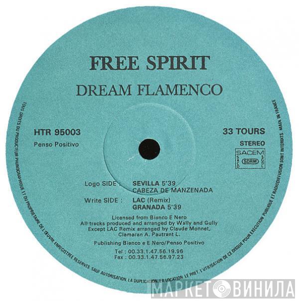 Free Spirit  - Dream Flamenco