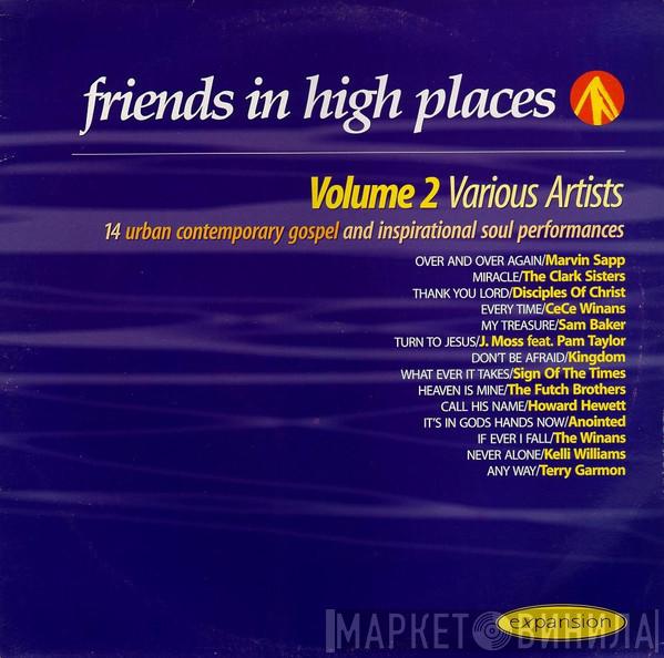  - Friends In High Places Volume 2