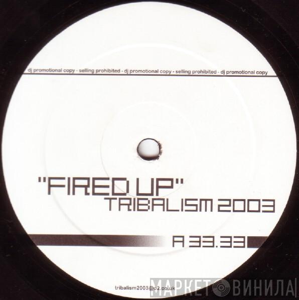 Funky Green Dogs, Thimo U. Seidel - Fired Up / Drums On Fire