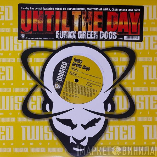 Funky Green Dogs - Until The Day