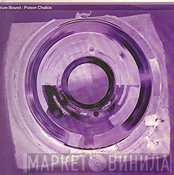 Future Bound, System 3  - Poison Chalice / I Want You