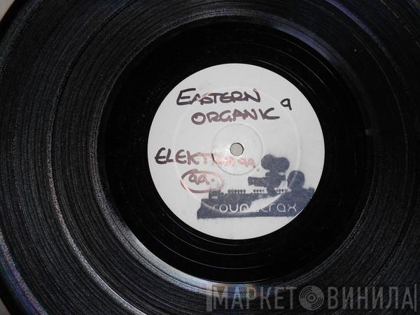 Future Prophecies - Elektra / Eastern Organic