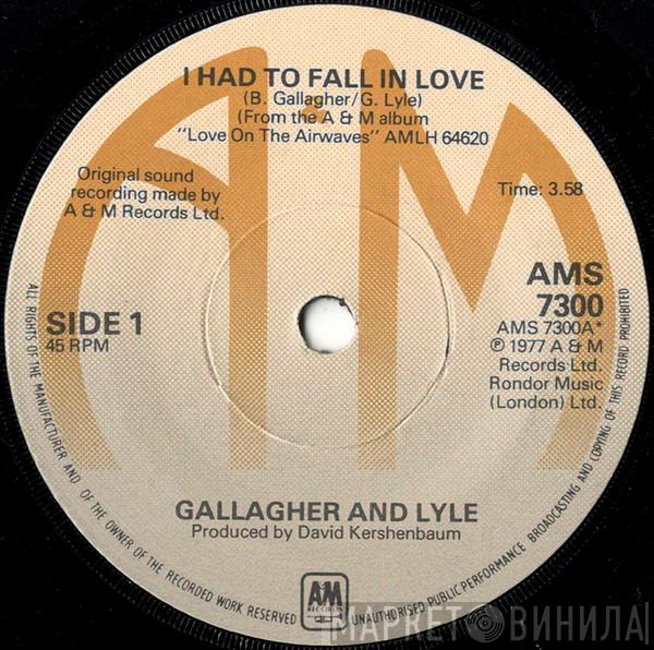 Gallagher & Lyle - I Had To Fall In Love