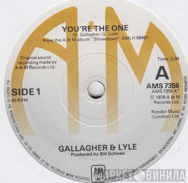 Gallagher & Lyle - You're The One
