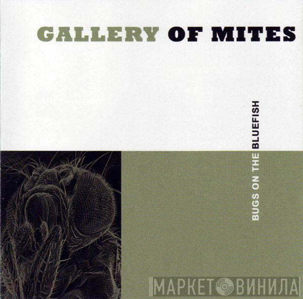 Gallery Of Mites - Bugs On The Bluefish