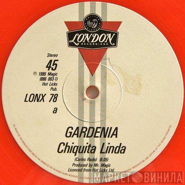 Gardenia - Chiquita Linda