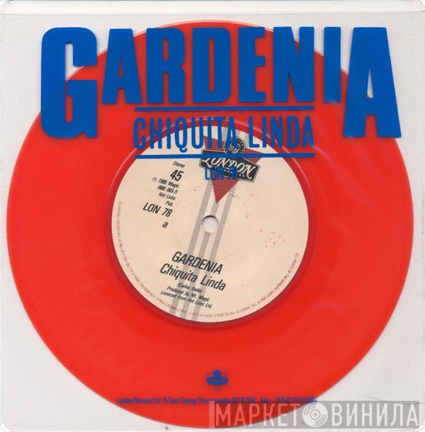 Gardenia - Chiquita Linda
