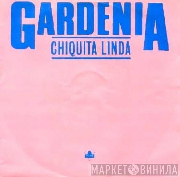 Gardenia - Chiquita Linda