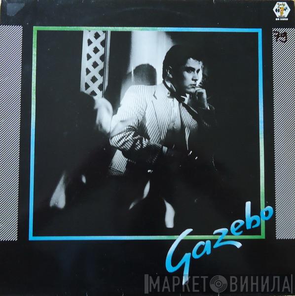  Gazebo  - Gazebo