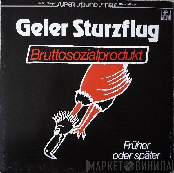 Geier Sturzflug - Bruttosozialprodukt