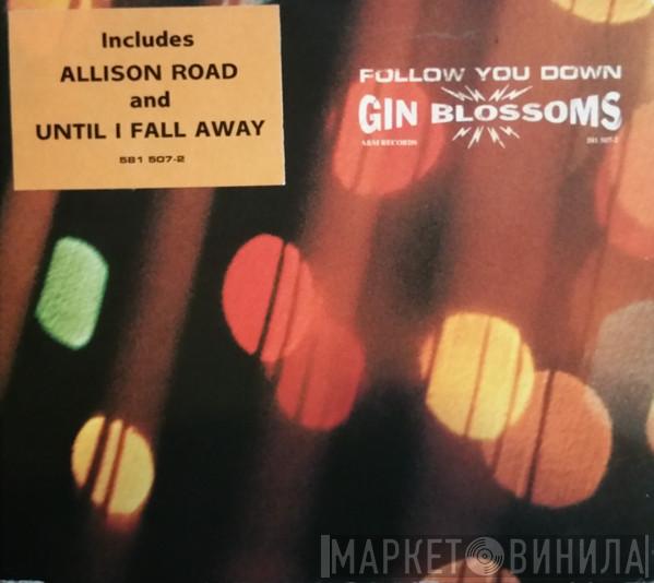 Gin Blossoms - Follow You Down