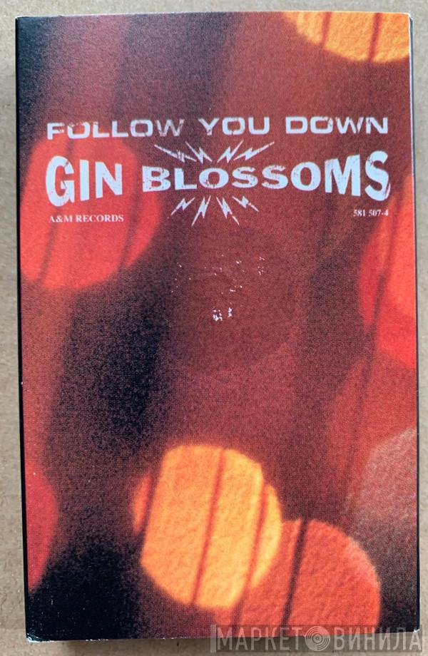 Gin Blossoms - Follow You Down