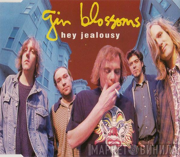Gin Blossoms - Hey Jealousy