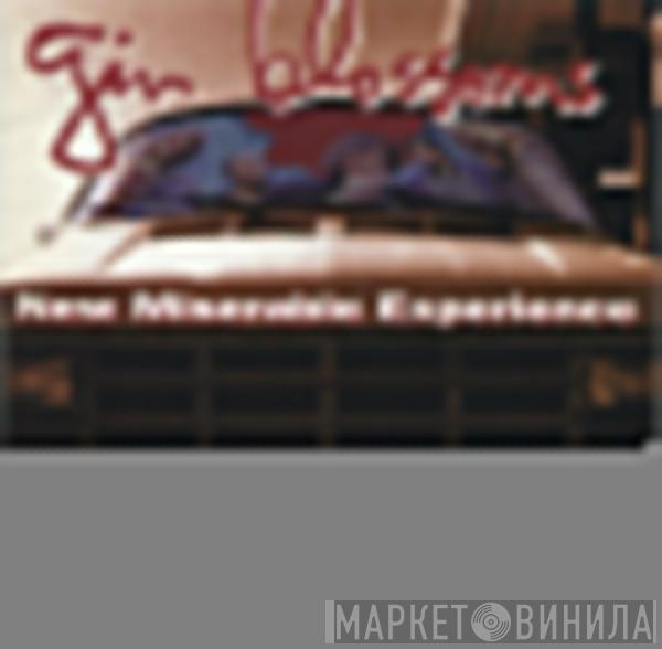  Gin Blossoms  - New Miserable Experience