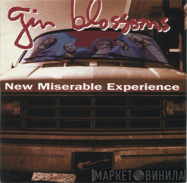  Gin Blossoms  - New Miserable Experience