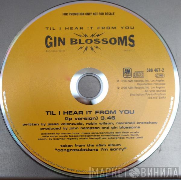  Gin Blossoms  - Til I Hear It From You