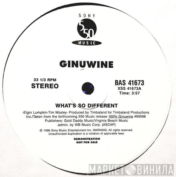 Ginuwine - What’s So Different