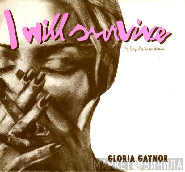  Gloria Gaynor  - I Will Survive (The Shep Pettibone Remix)
