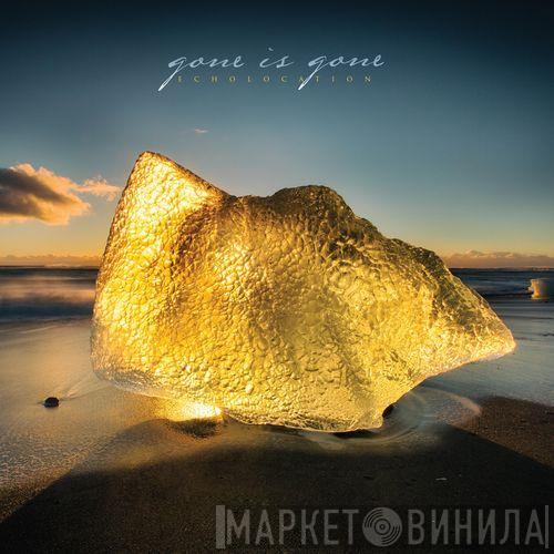 Gone Is Gone - Echolocation
