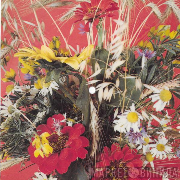  Goombay Dance Band  - Sun Of Jamaica