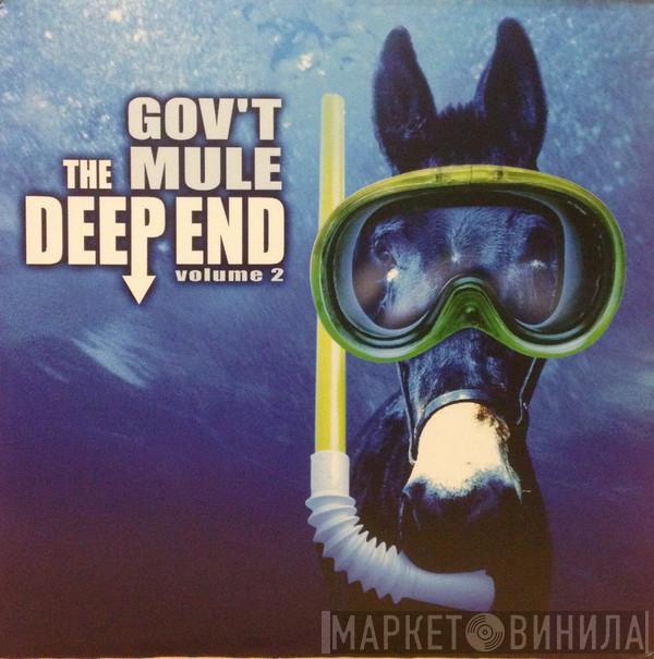 Gov't Mule - The Deep End Volume 2