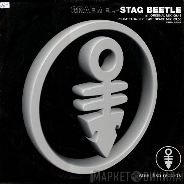 Graeme Laverty - Stag Beetle