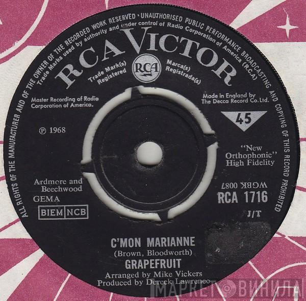 Grapefruit - C'mon Marianne