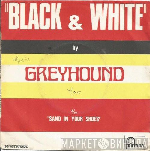  Greyhound   - Black And White / Sand In Your Shoes