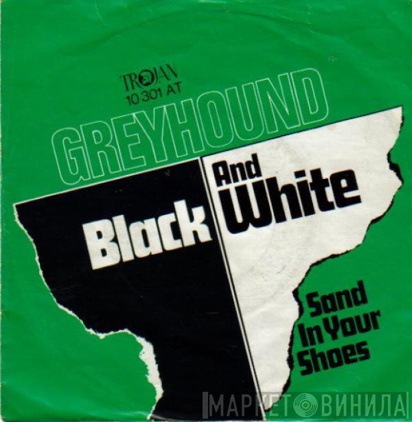  Greyhound   - Black And White