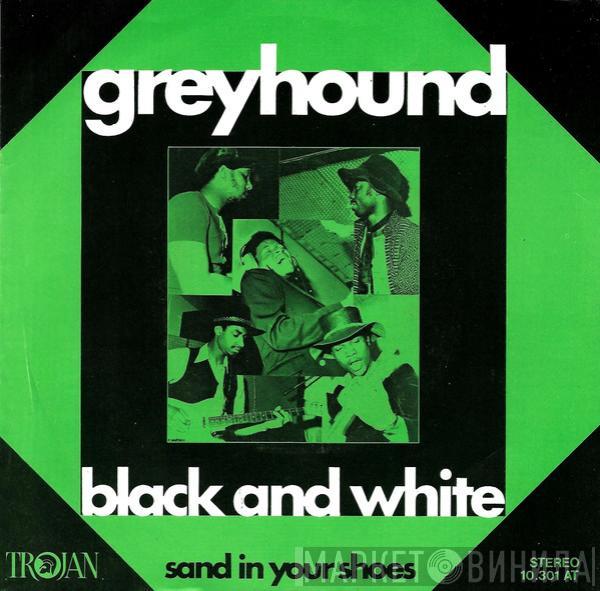 Greyhound  - Black And White