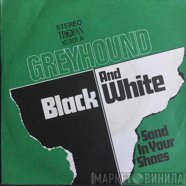  Greyhound   - Black And White