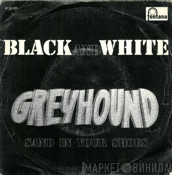 Greyhound   - Black And White