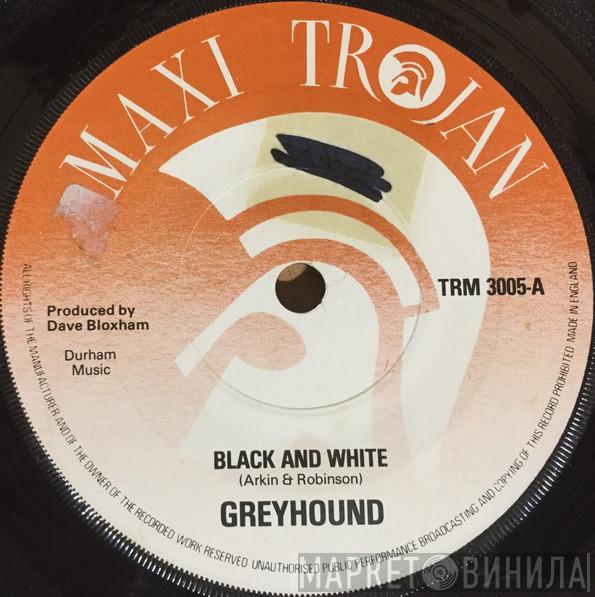 Greyhound  - Black And White