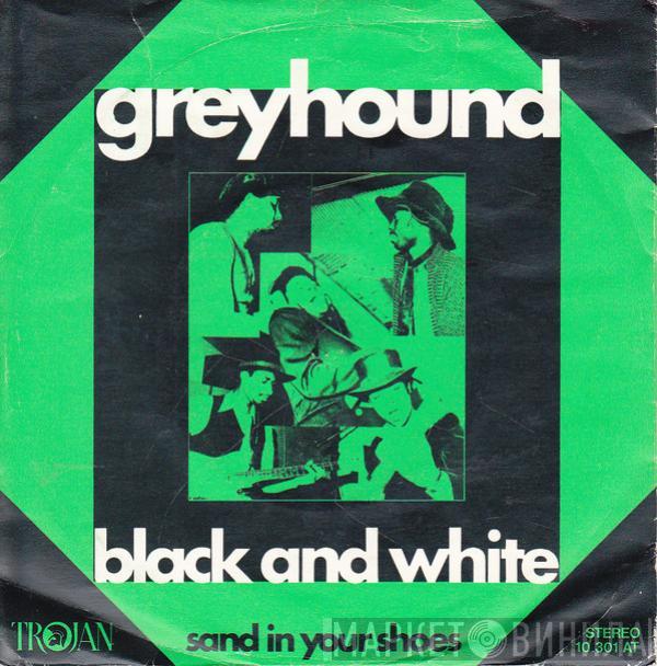  Greyhound   - Black And White