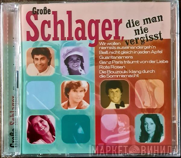  - Große Schlager, Die Man Nie Vergisst