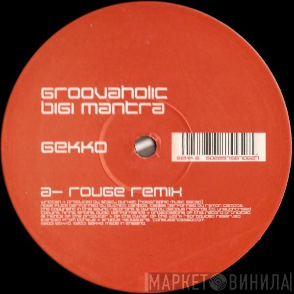 Groovaholic - Bigi Mantra