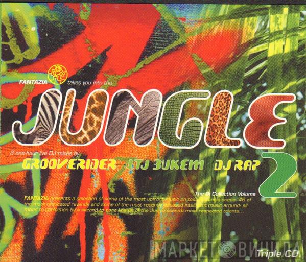 Grooverider, LTJ Bukem, DJ Rap - Fantazia Takes You Into The Jungle