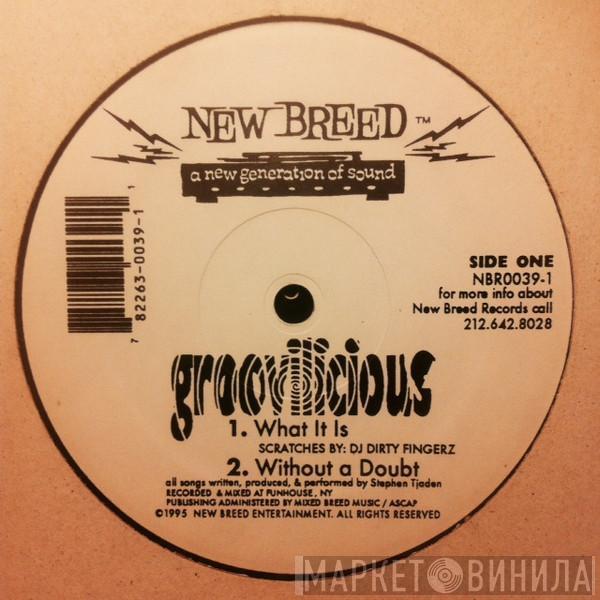 Groovilicious - Groovilicious