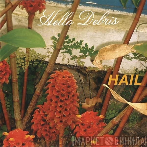 Hail - Hello Debris