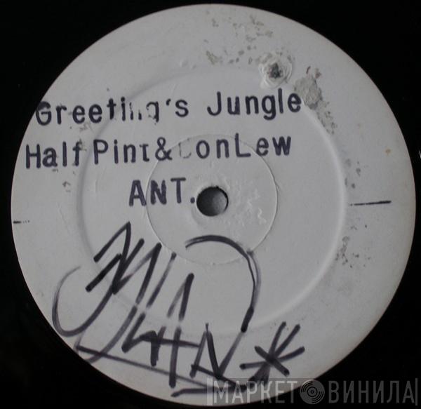 Half Pint , Don Lloydie, Lewi - Greeting's Jungle