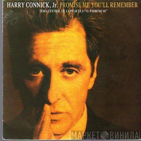  Harry Connick, Jr.  - Promise Me You'll Remember (Love Theme From The Godfather III)